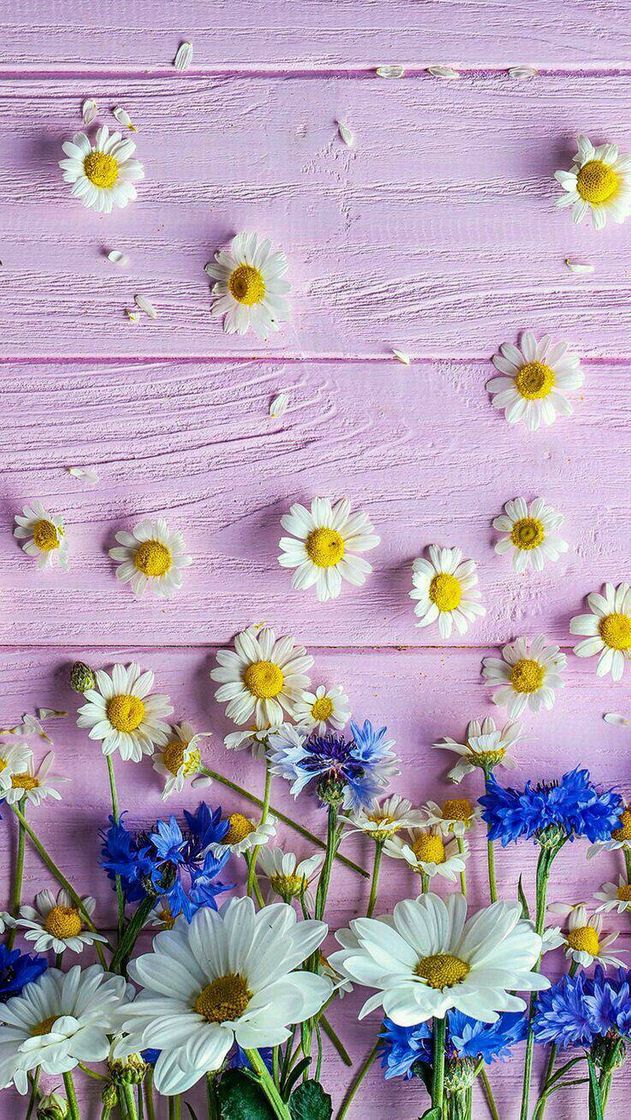 🌸