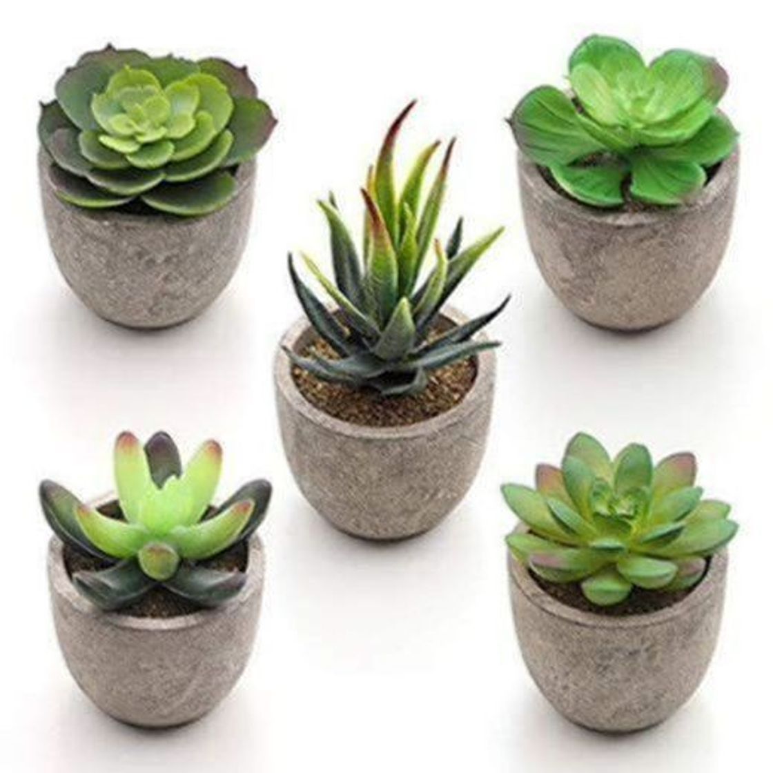 Social SONGMICS Plantas Suculentas Artificiales en Maceta