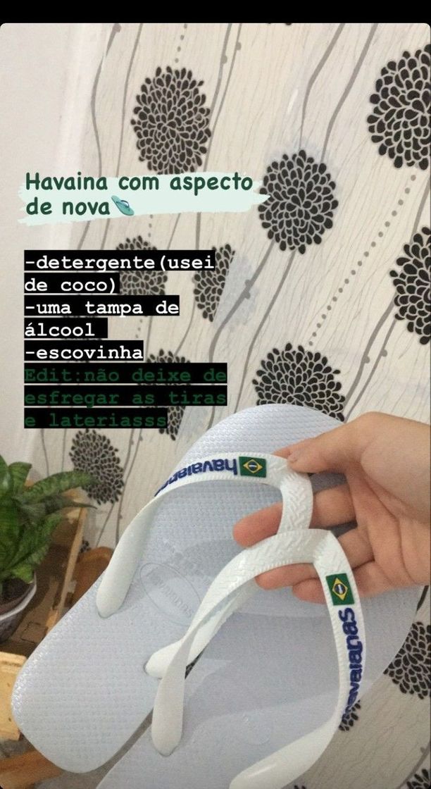 Moda Dicas