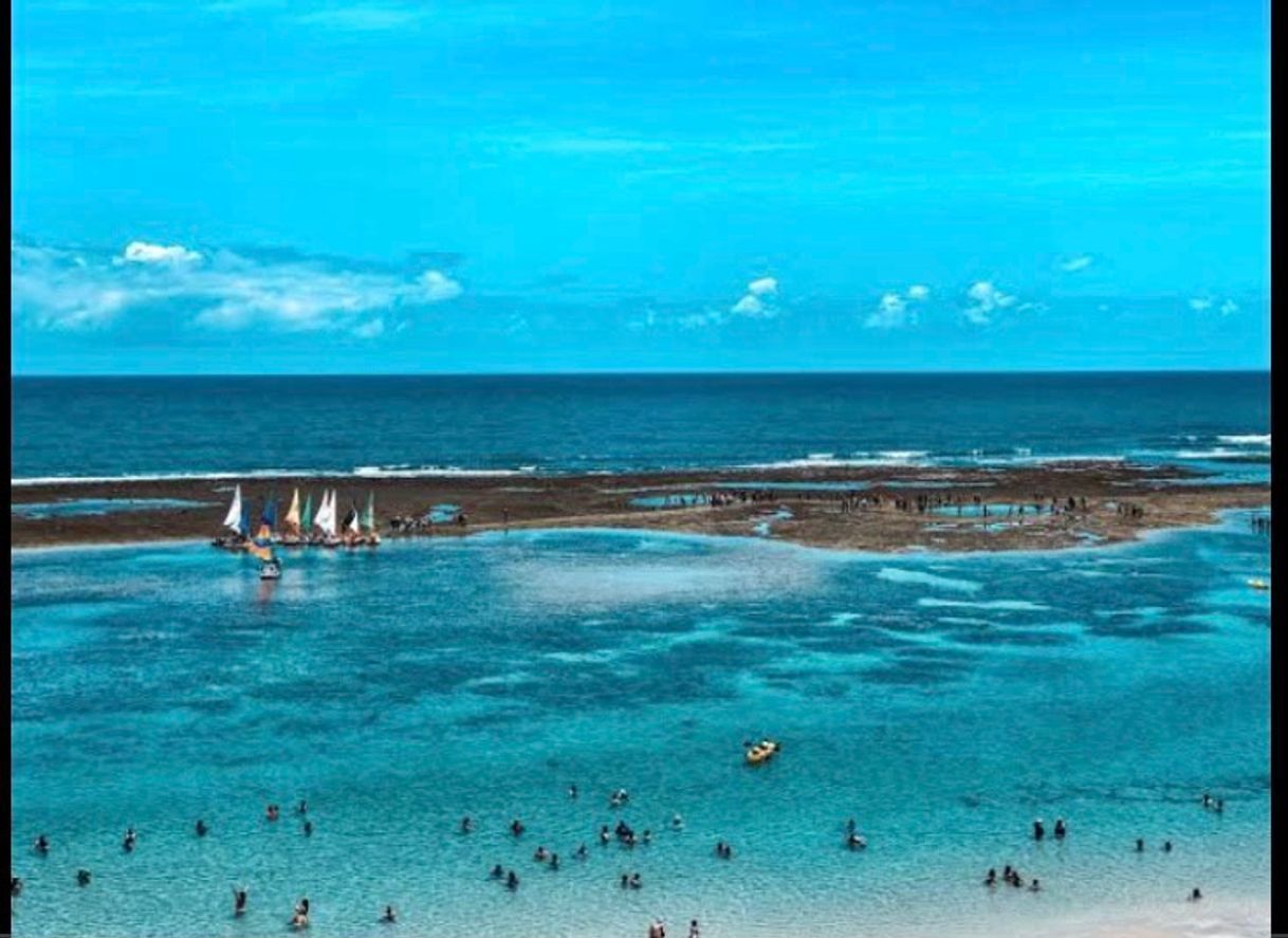 Lugar Porto de galinhas 