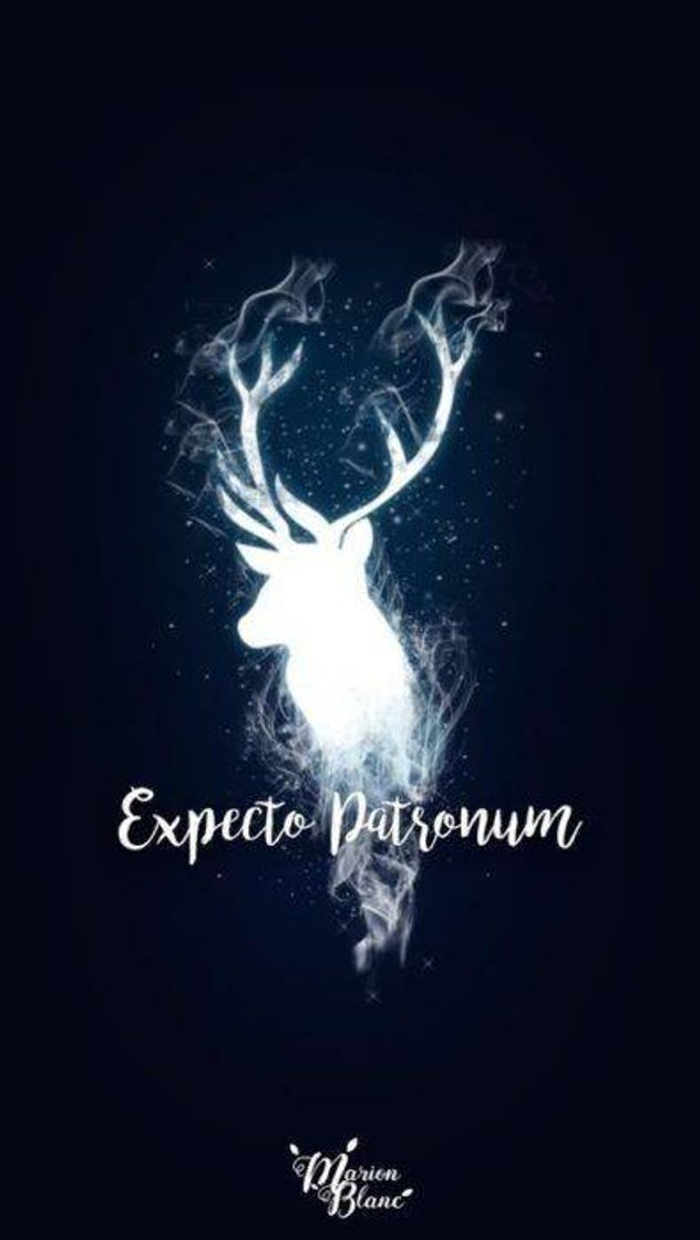 Social Wallpaper Harry Potter 