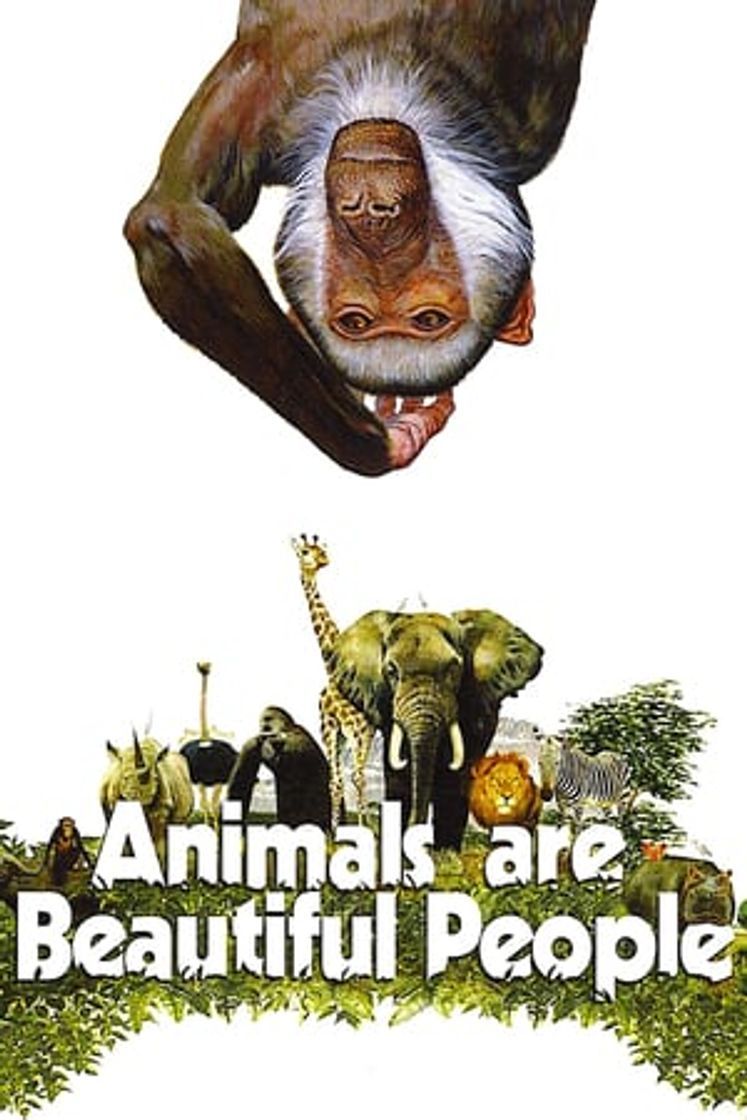 Movie Los animales son gente maravillosa