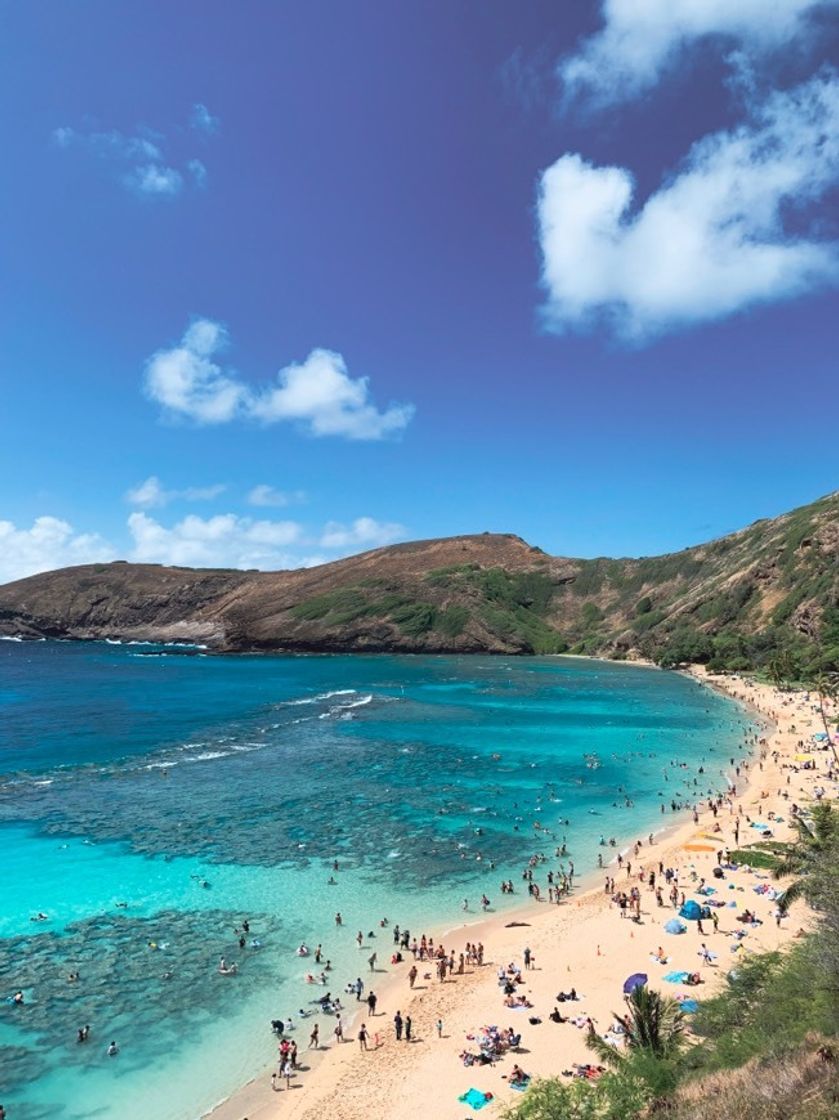 Place Hanauma Bay Nature Preserve