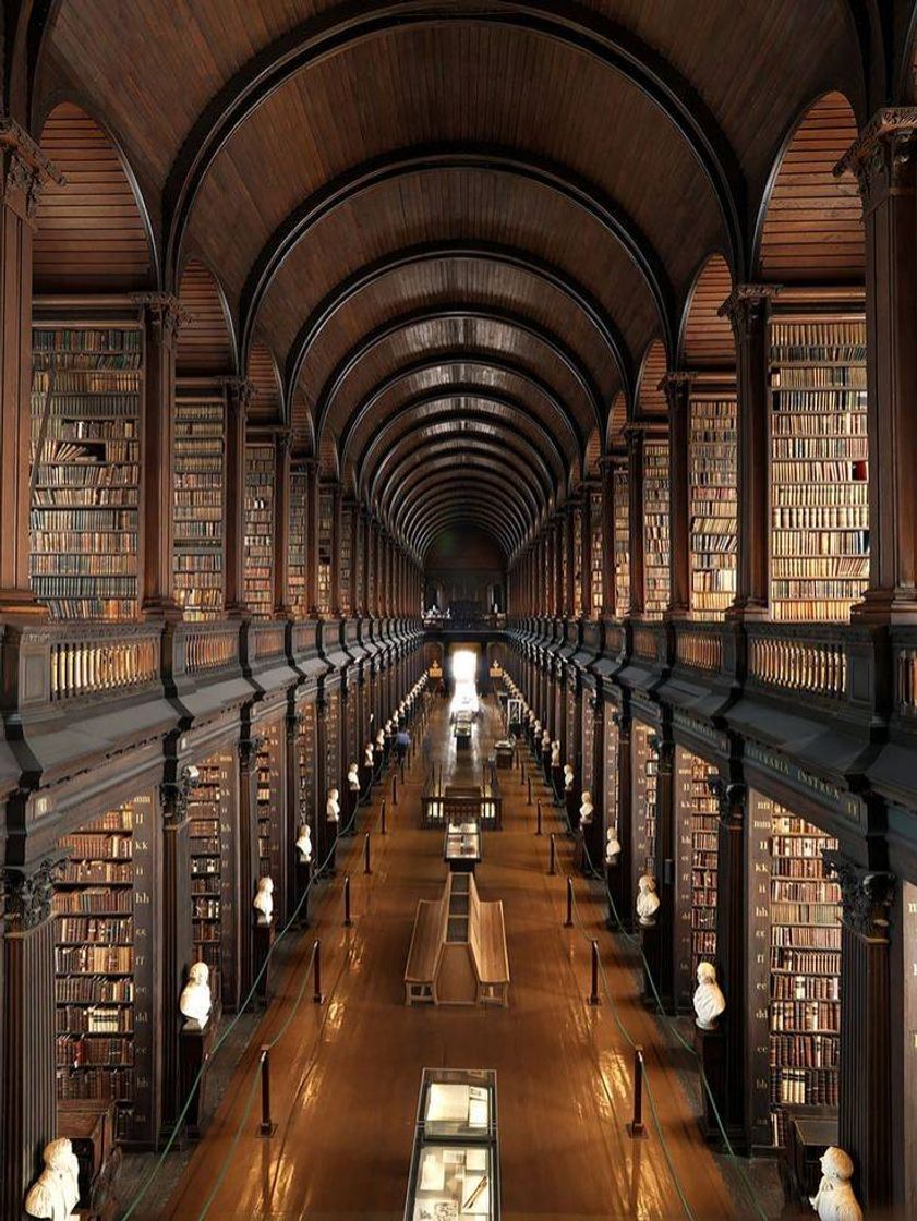 Lugares Biblioteca Dublin