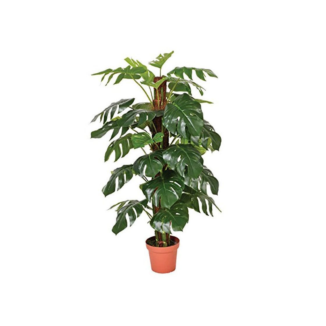 Social Catral 74010020 Planta artificial Monstera