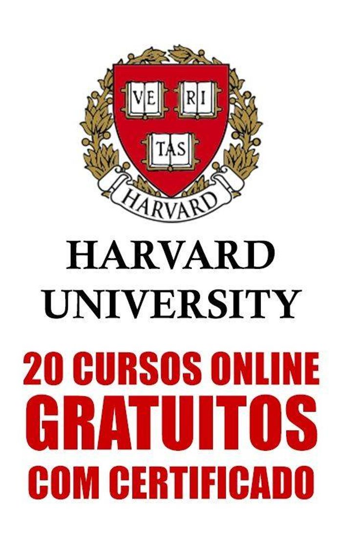 Fashion Harvard university