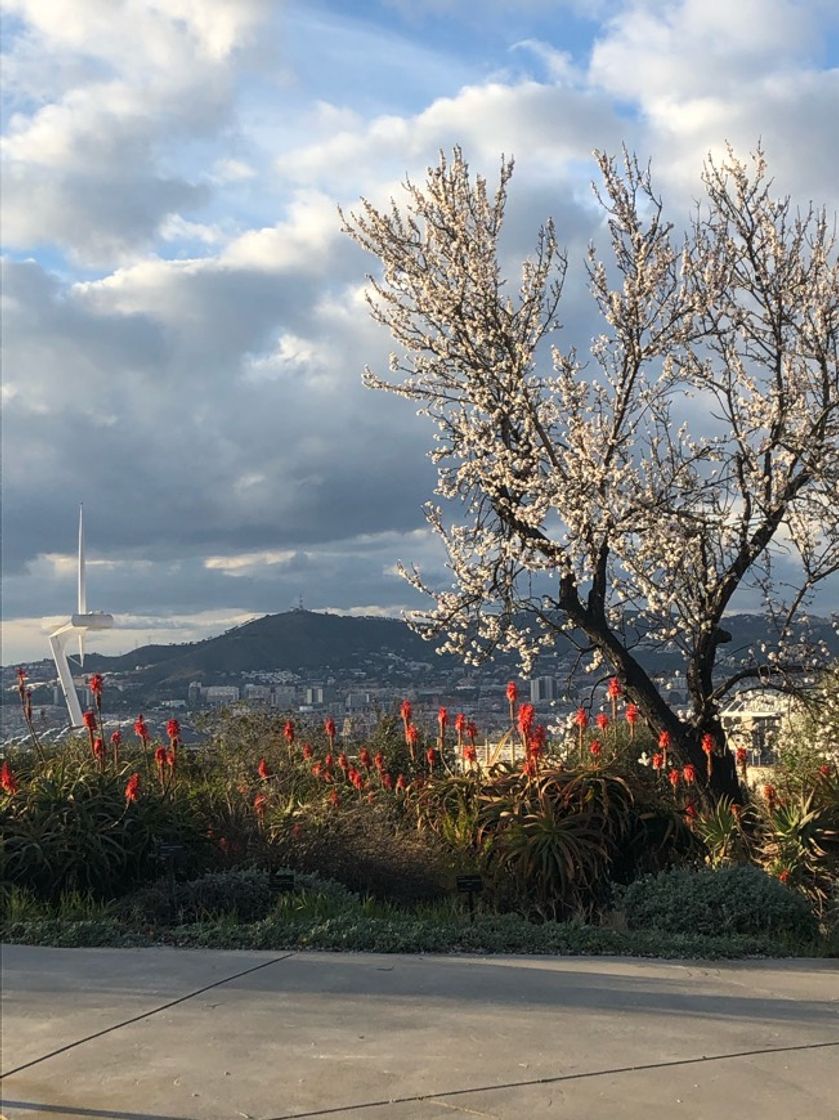 Lugar Jardí Botànic de Barcelona
