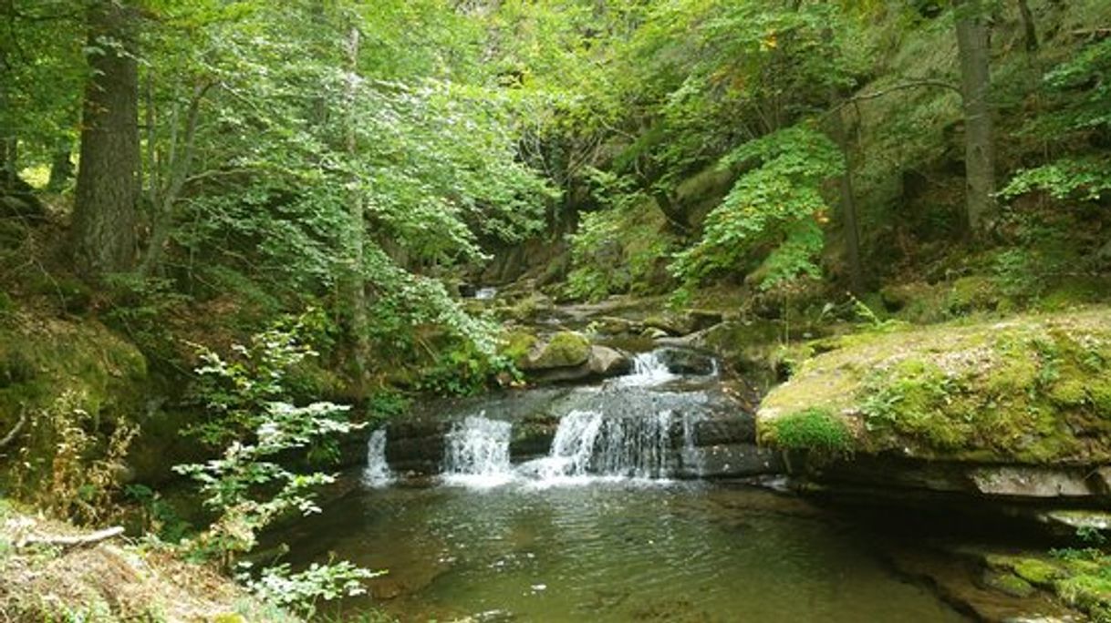 Lugar Parque Natural Sierra de Cebollera