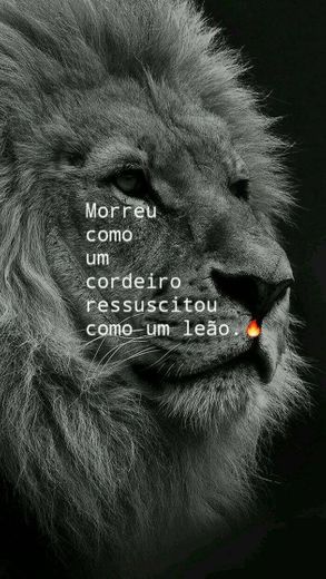 #Cordeiro e leão.🙏