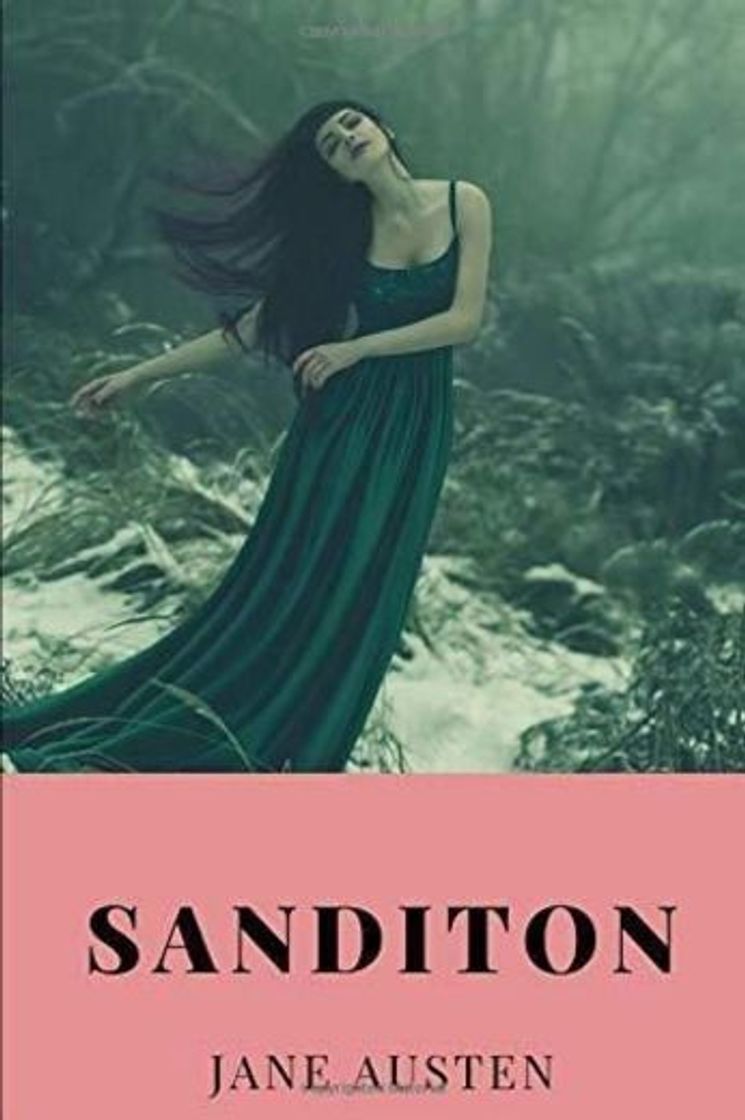 Book Sanditon