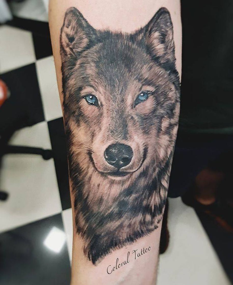 Moda Tattoo dos lobos