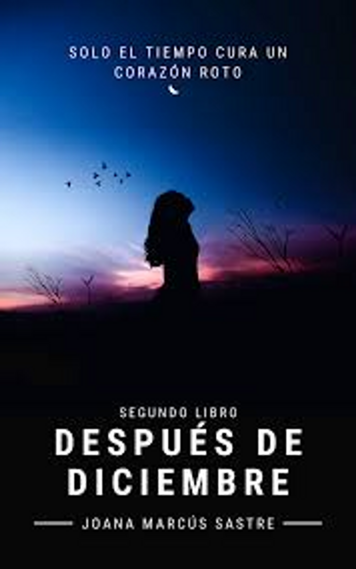 Libro Después de Diciembre