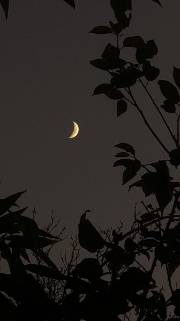 Social 𝕭𝖑𝖆𝖈𝖐 𝕹𝖎𝖌𝖍𝖙