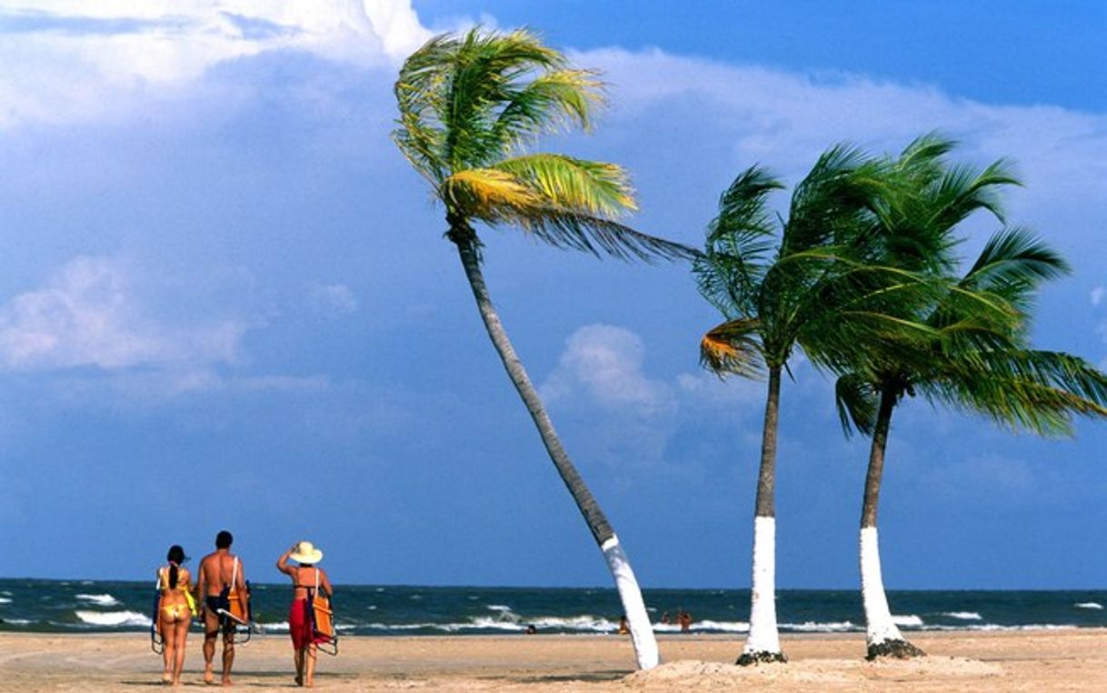 Restaurants Ilha do Marajó