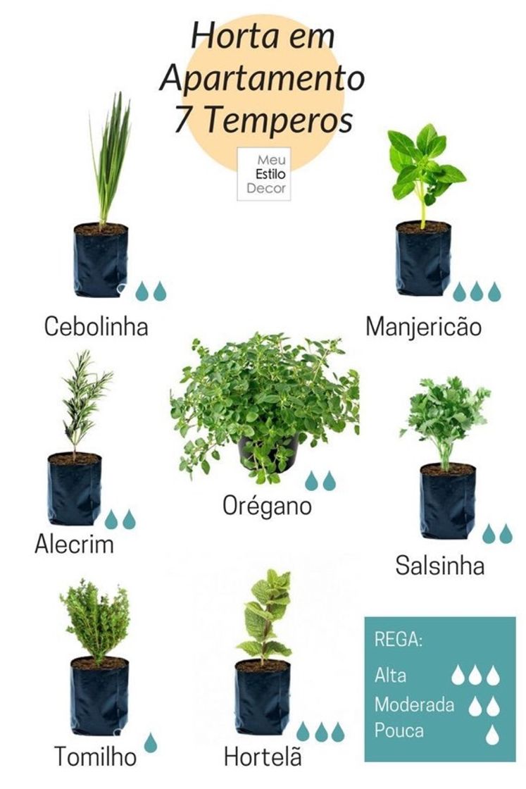 Moda Já quero uma hortinha 😊🌱