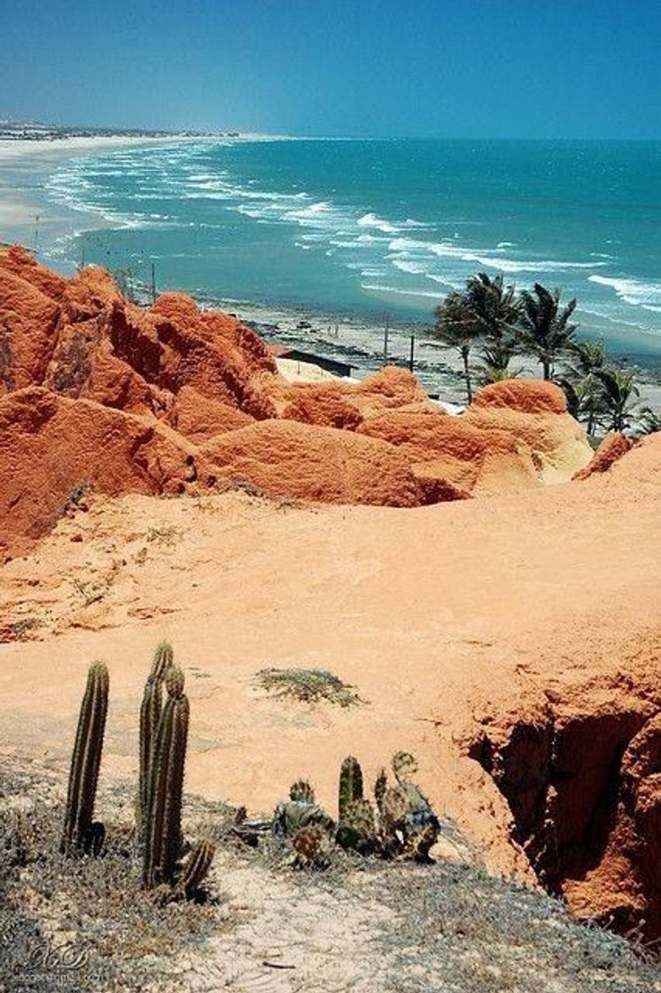 Lugar Beach of Morro Branco