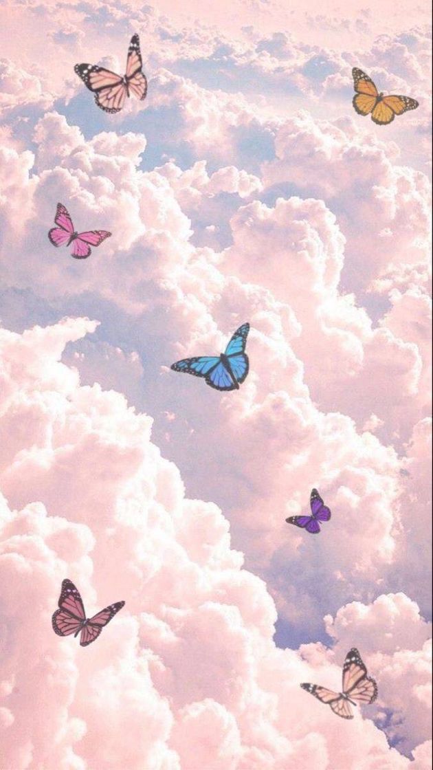 Fashion 🦋☁