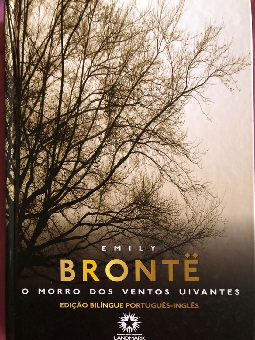 Book O Morro dos Ventos Uivantes