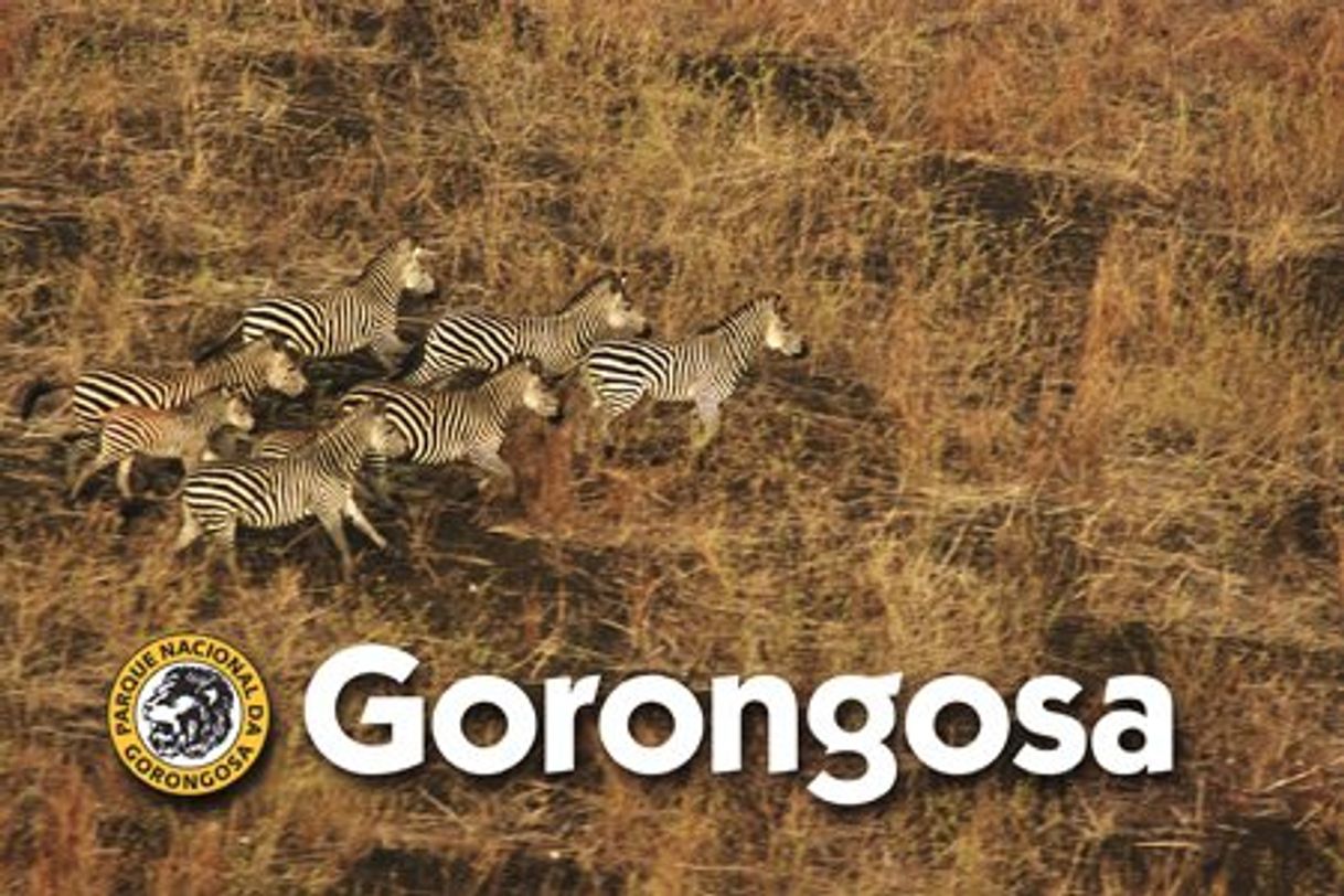 Lugar Gorongosa National Park