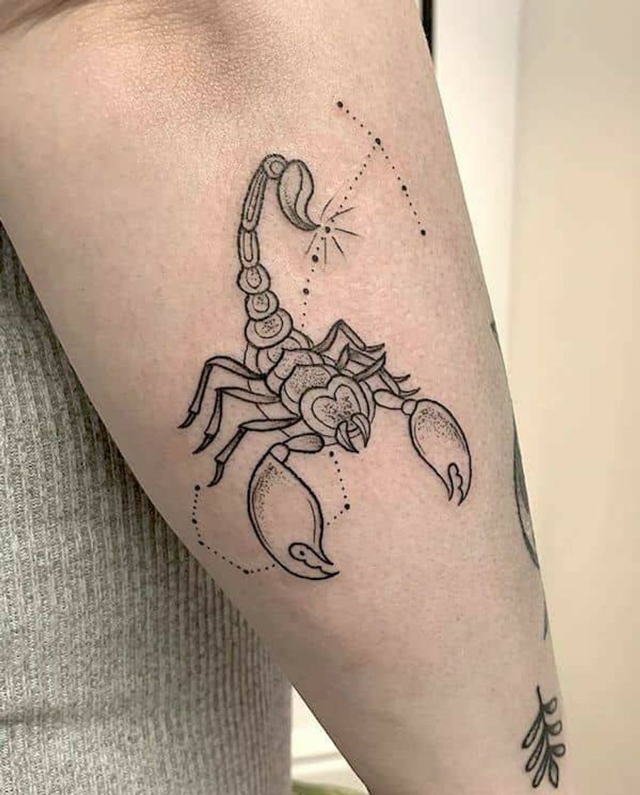 Fashion Tattoo Signo Escorpião ♏