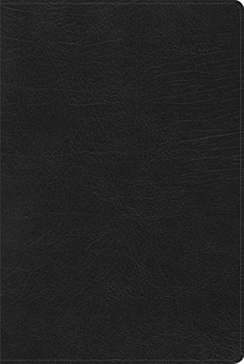 RVR 1960 Biblia de Estudio Arco Iris, negro imitación piel