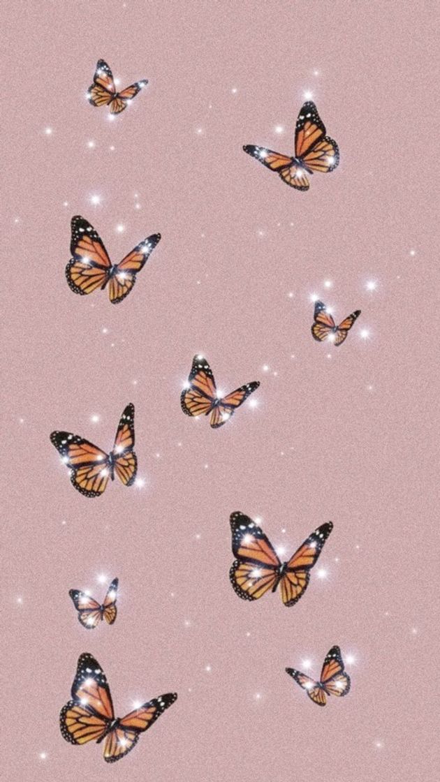 Fashion WALLPAPER 🦋 