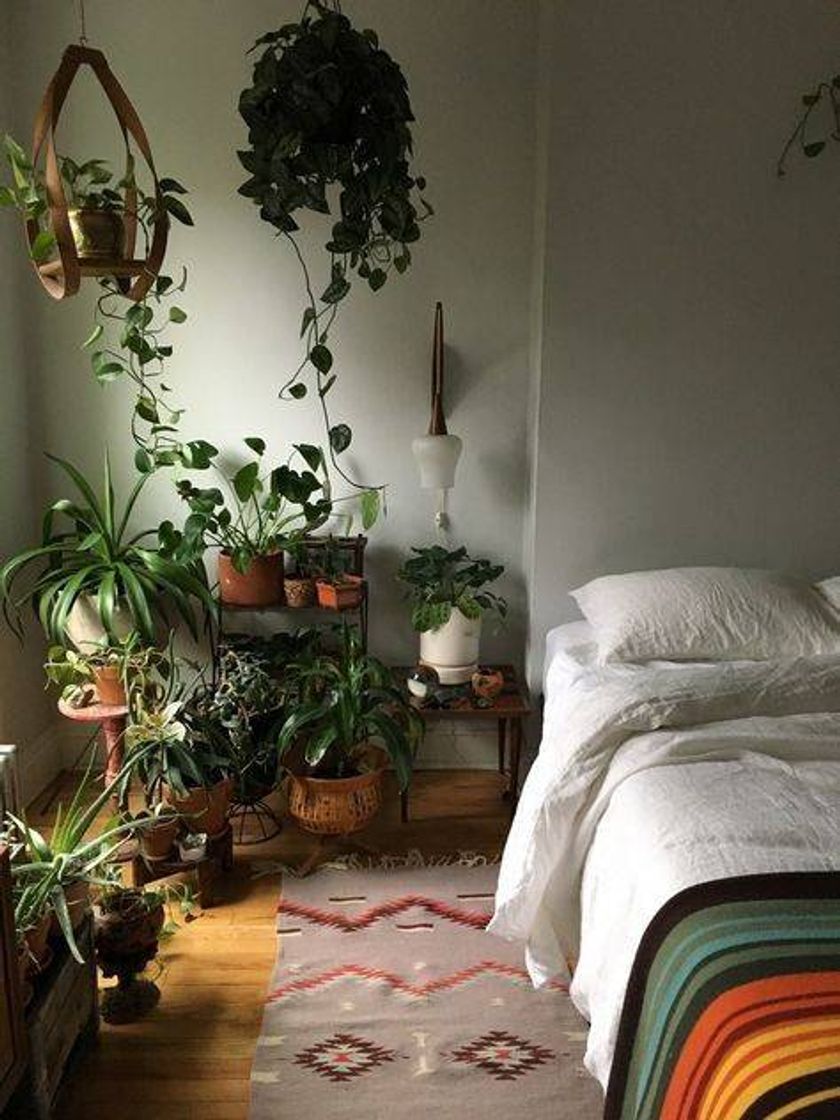 Moda Quarto com plantas vibes 