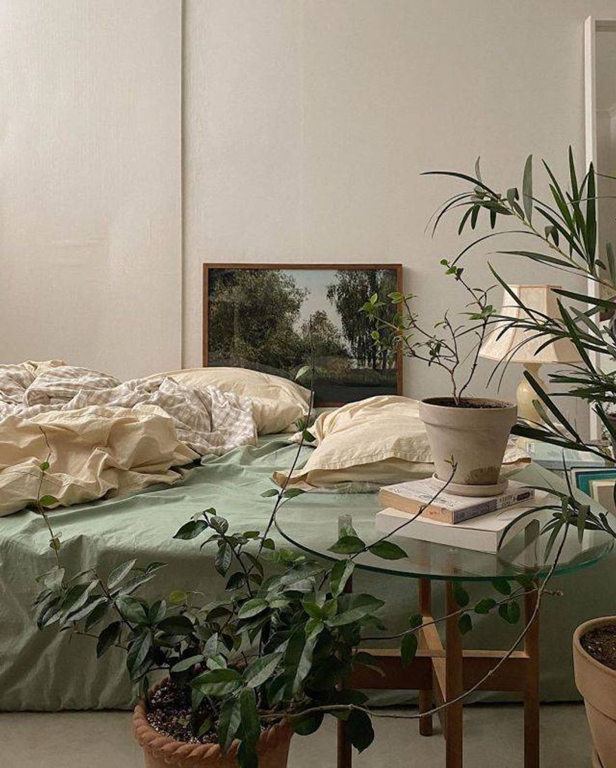 Moda Quarto lindo e confortável com plantas🌿