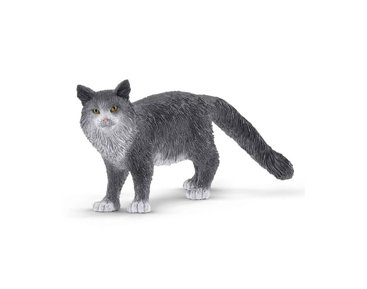 Producto Gato Maine Coon