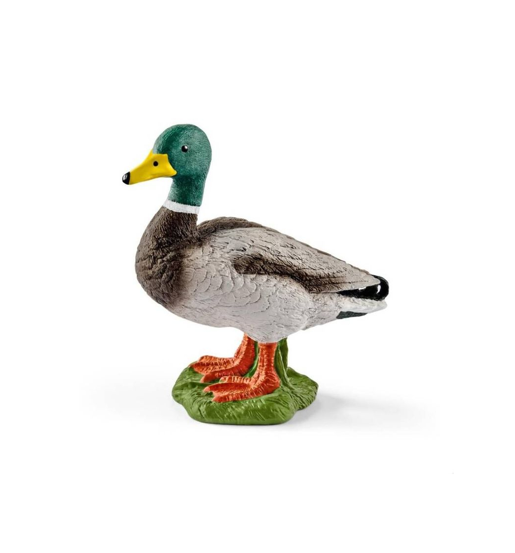 Social Pato