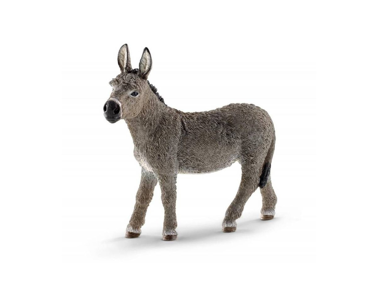 Social Burro