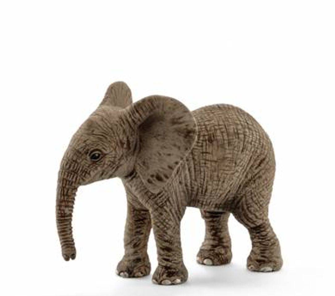 Moda Cría de elefante africano - Schleich