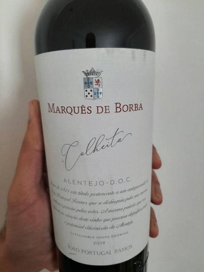 Social Marquês de Borba