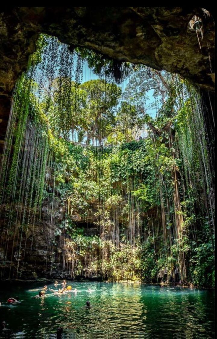 Lugar Cenotes-Mexico 