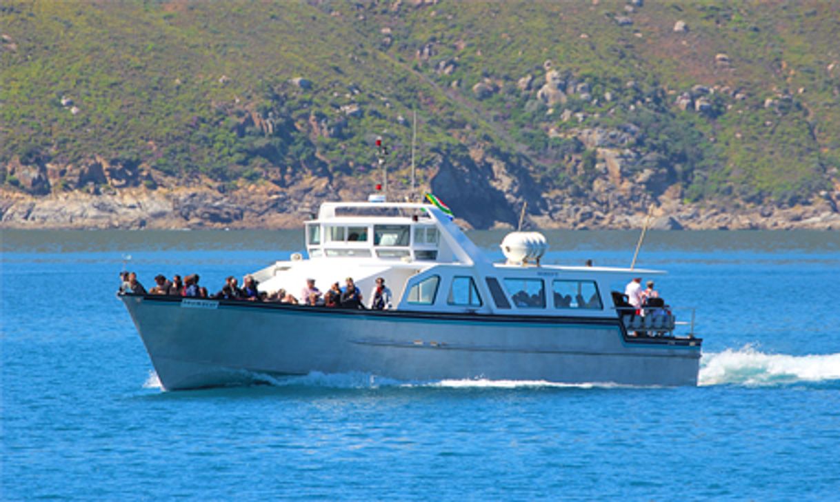 Places Drumbeat Charters South Africa