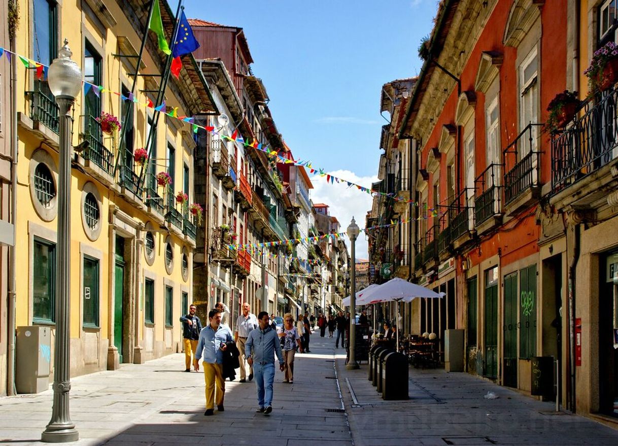 Lugar Rua das Flores