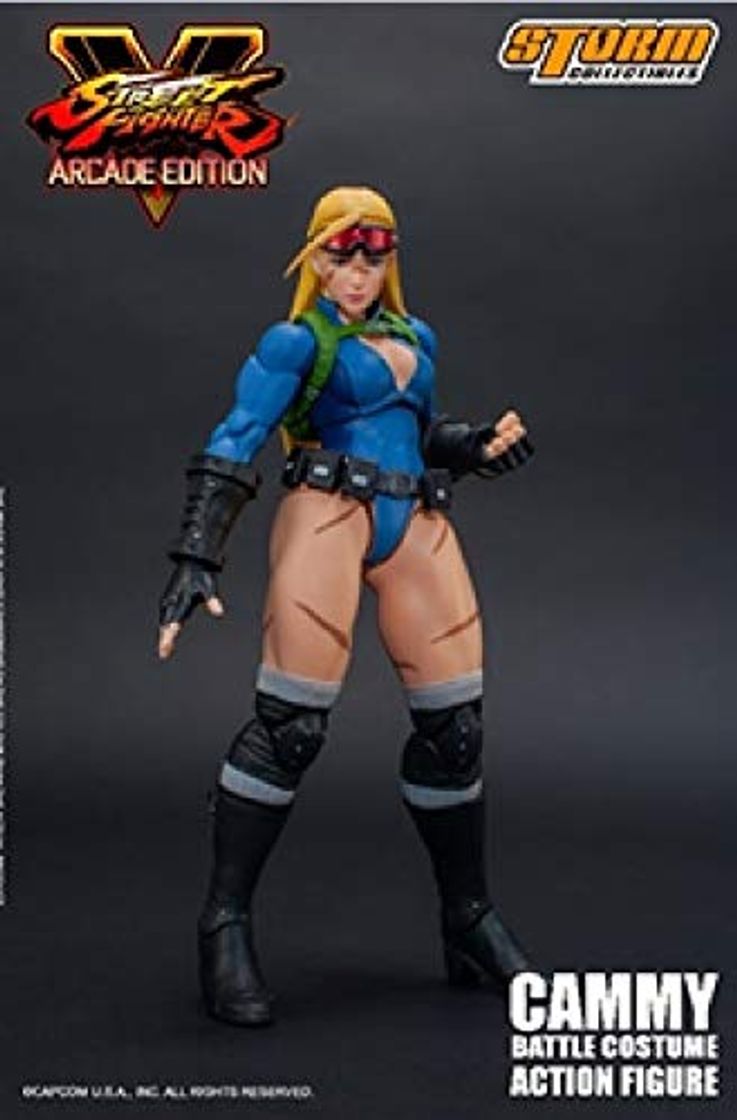 Product Storm Collectibles Street Fighter V Arcade Edition Action Figure 1