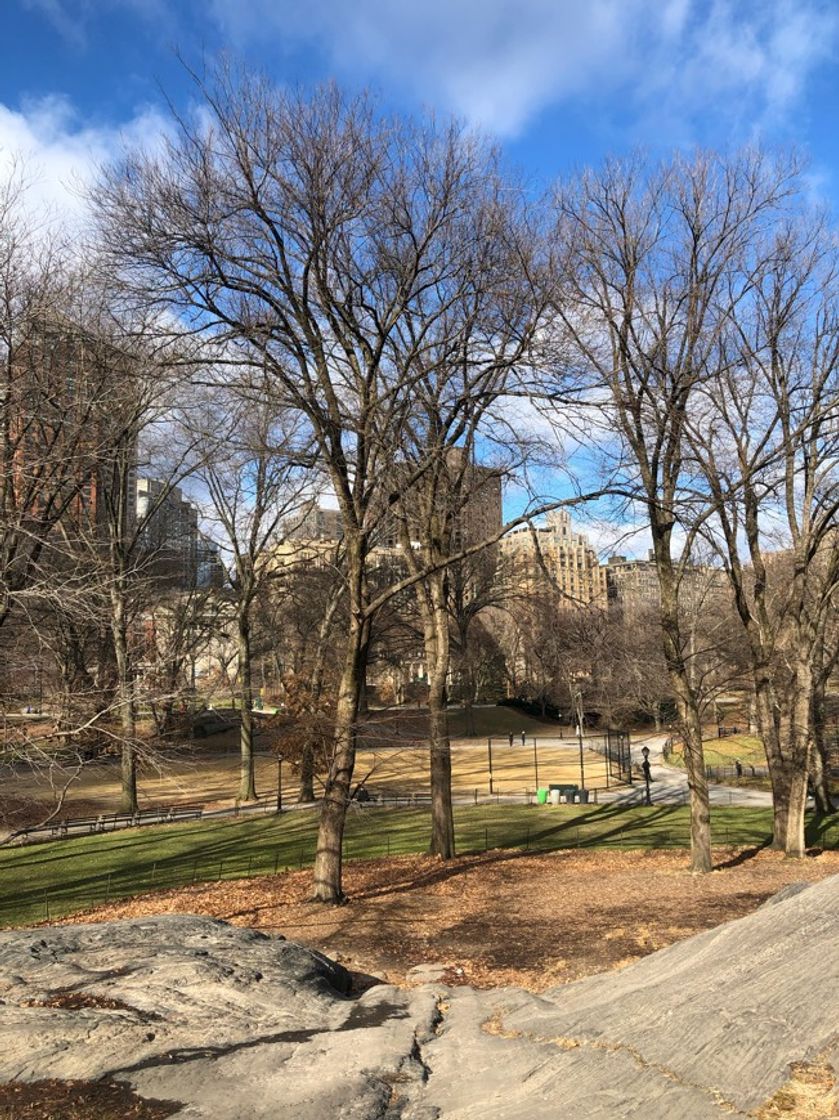 Lugar Central Park