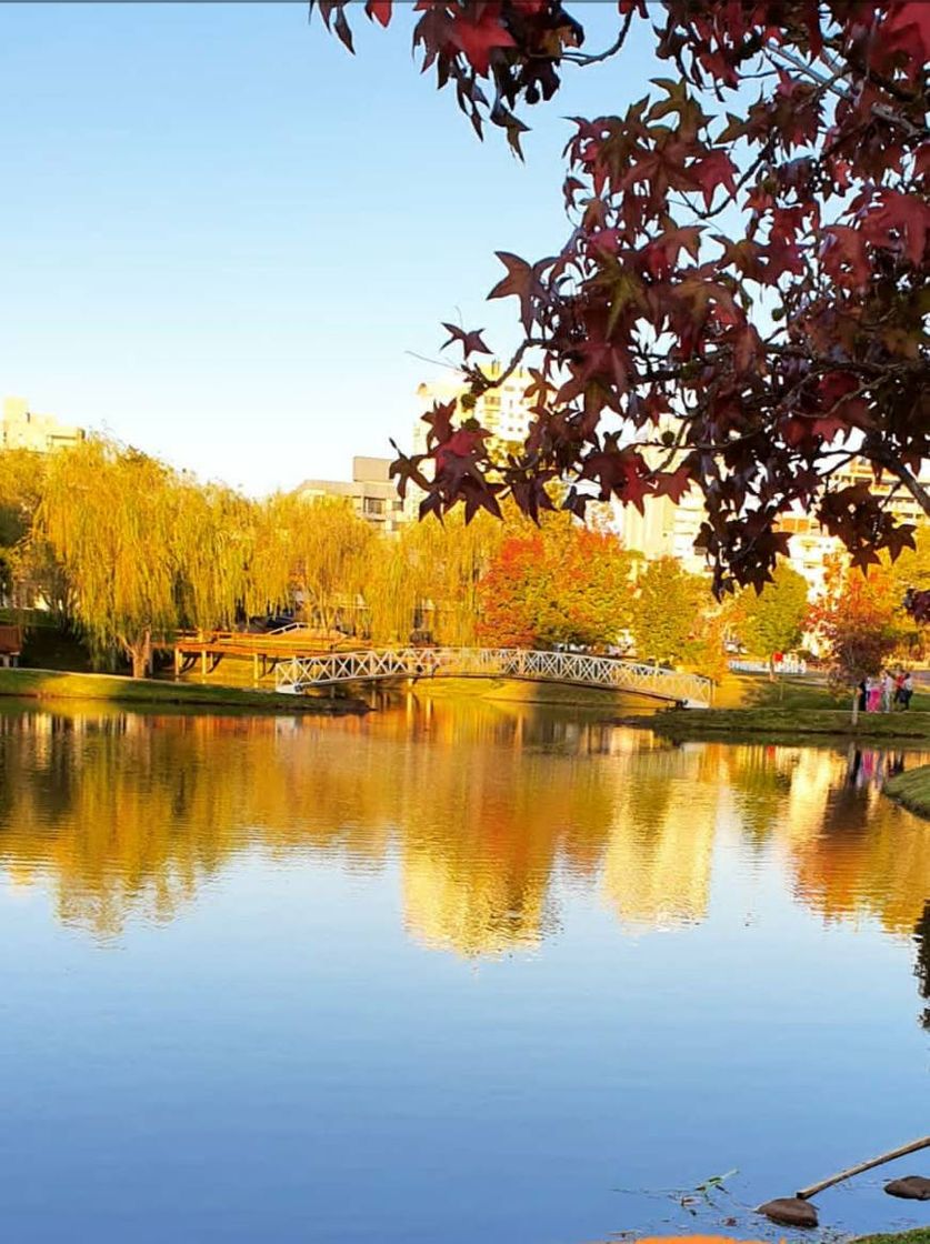 Place Praça do Lago