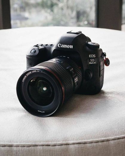 Consume dream: canon camera