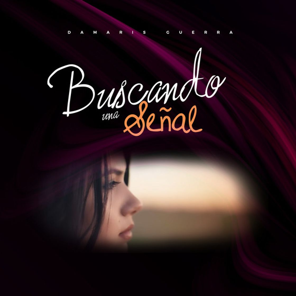 Music Buscando Una Señal