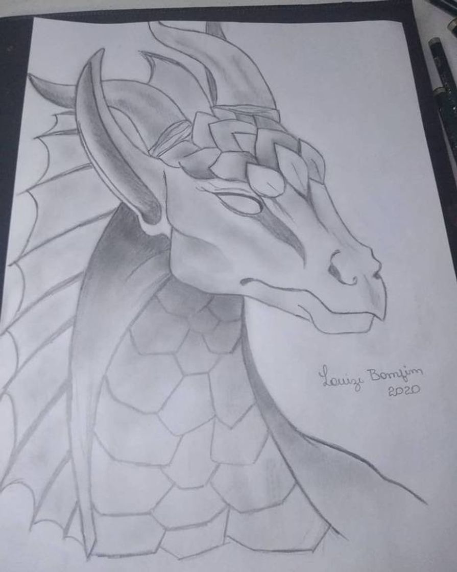 Fashion Desenho dragão