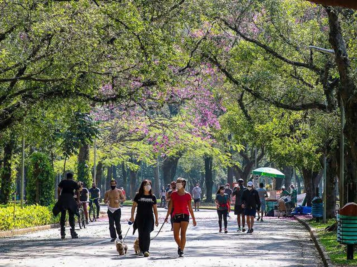 Place Parque Ibirapuera