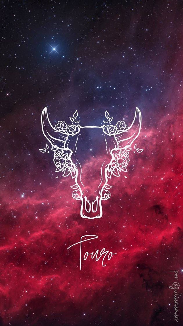 Wallpaper Touro