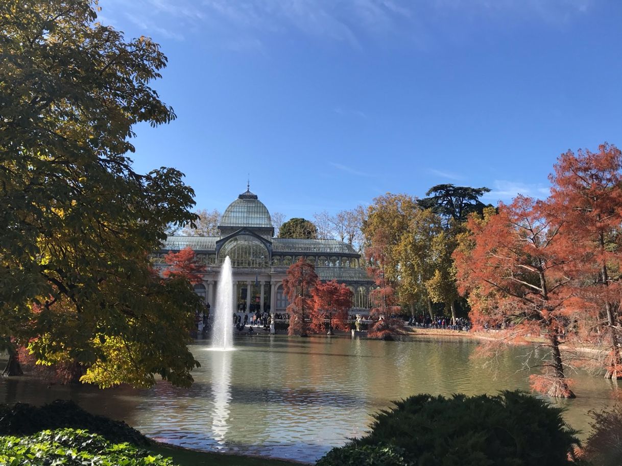 Lugar Palacio de Cristal