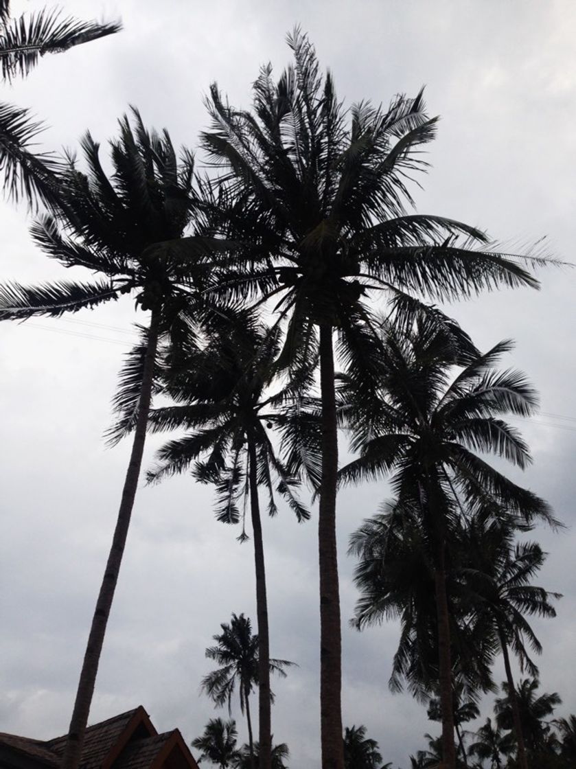 Place Las Cabañas Beach