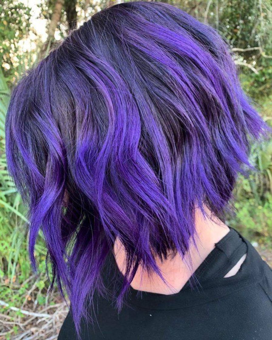 Fashion Cabelo roxo 