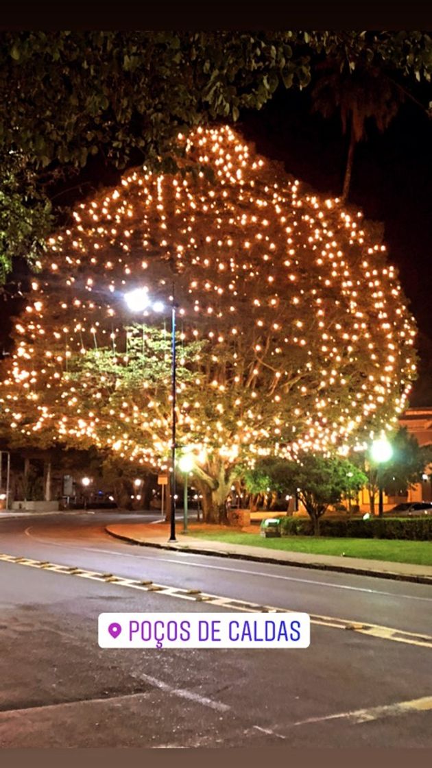 Place Poços de Caldas