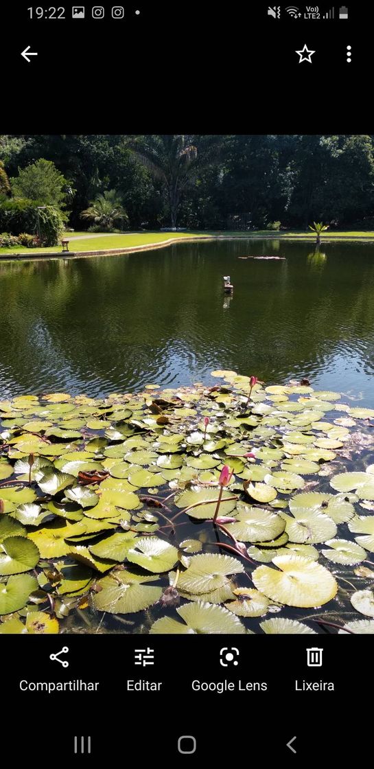 Lugar Jardim Botânico Plantarum