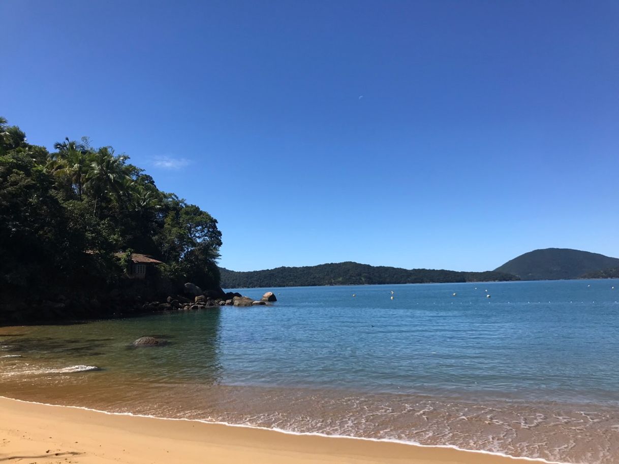 Lugar Praia do Flamengo